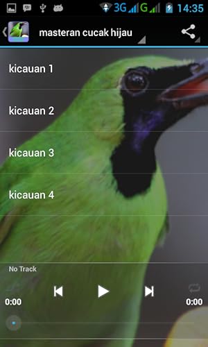 Chirping Bird Master verde Cucak