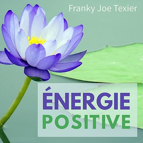 Énergie positive, Pt. 7 von Franky Joe Texier bei Amazon Music - Amazon.de