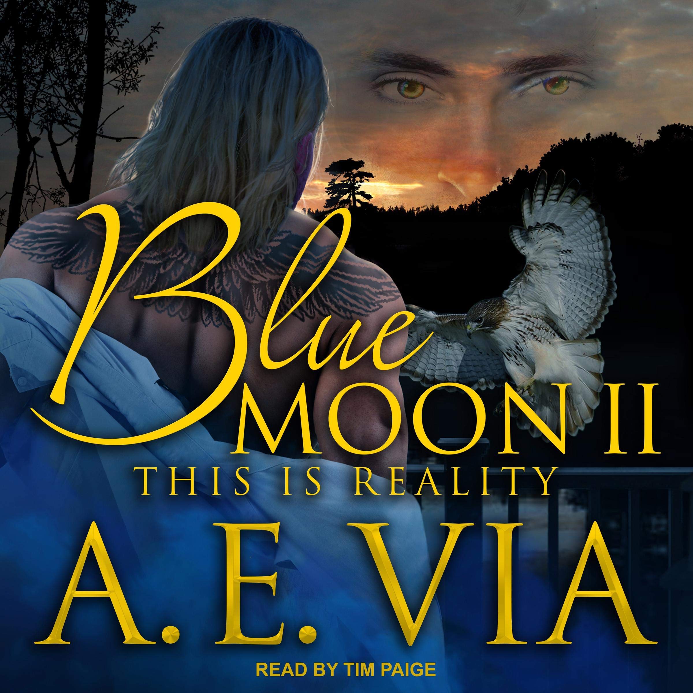 Cover art for Blue Moon II