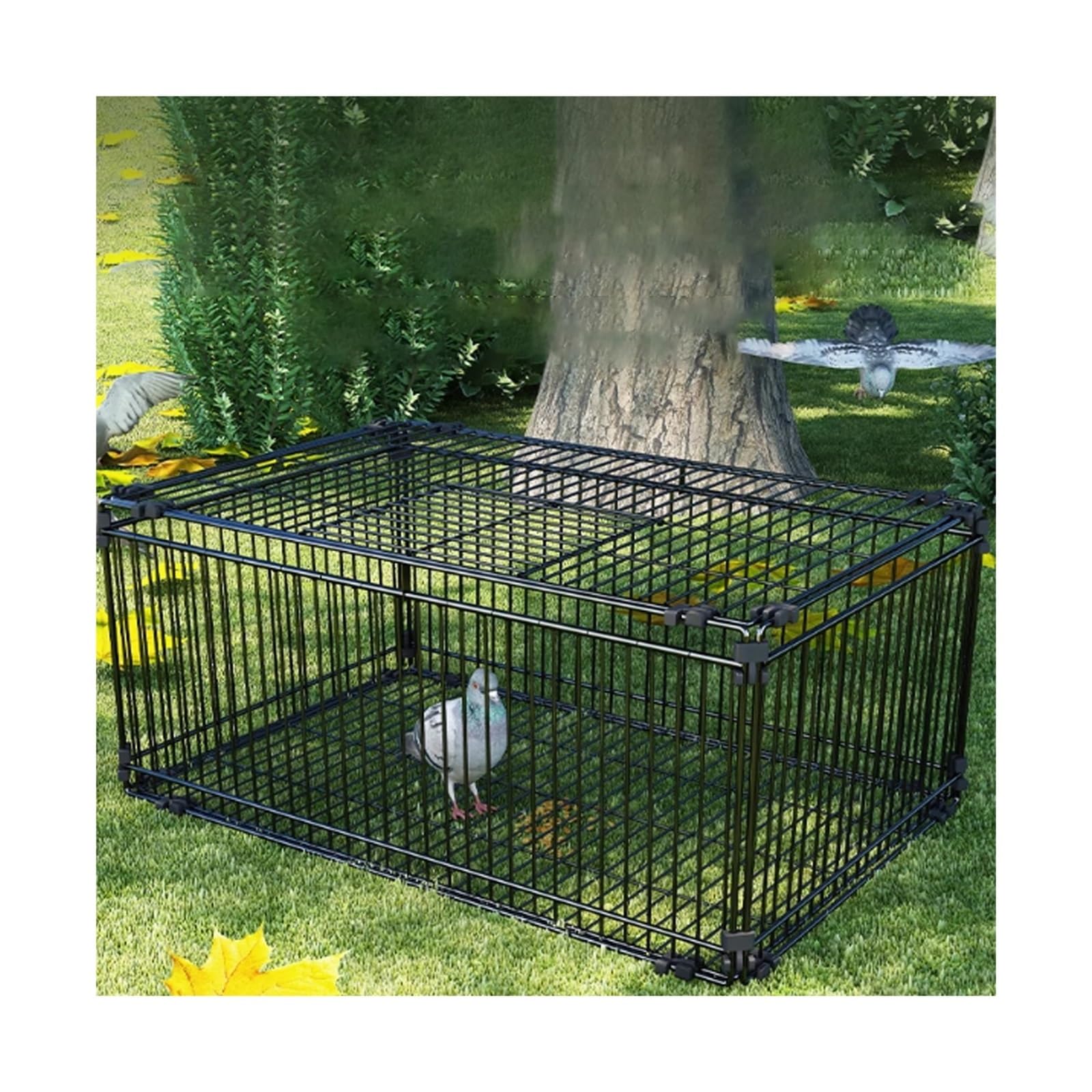 Cómoda Jaula for Palomas encriptada Que Solo Permite la Entrada Pero no la Salida Reciclaje automático de jaulas for Palomas de Exterior Práctica(Pequeño)