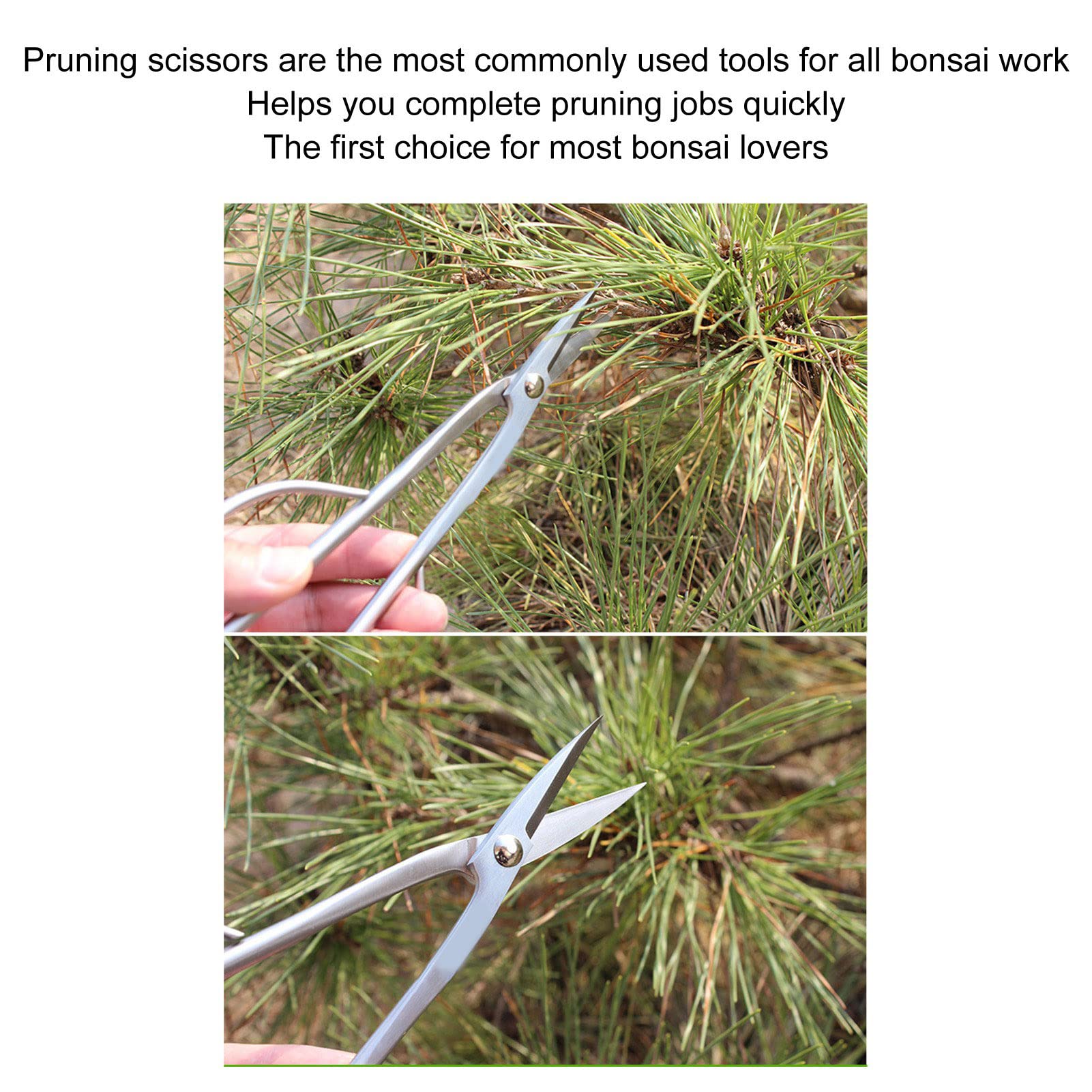 Restokki Bonsai Scissor Stainless Steel Professional Pruning Scissor 8.3 Inch Garden Leaf Sprout Flower