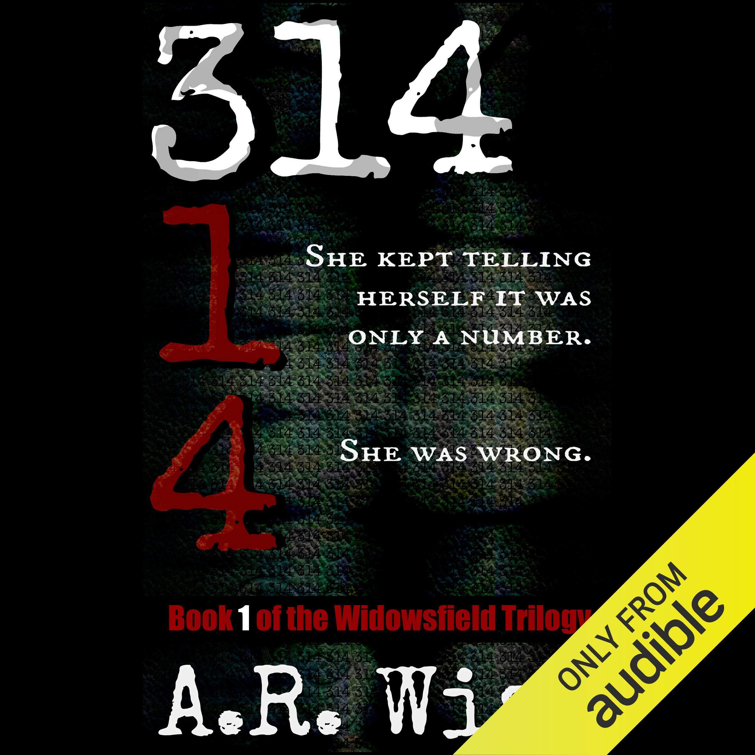 Cover art for 314