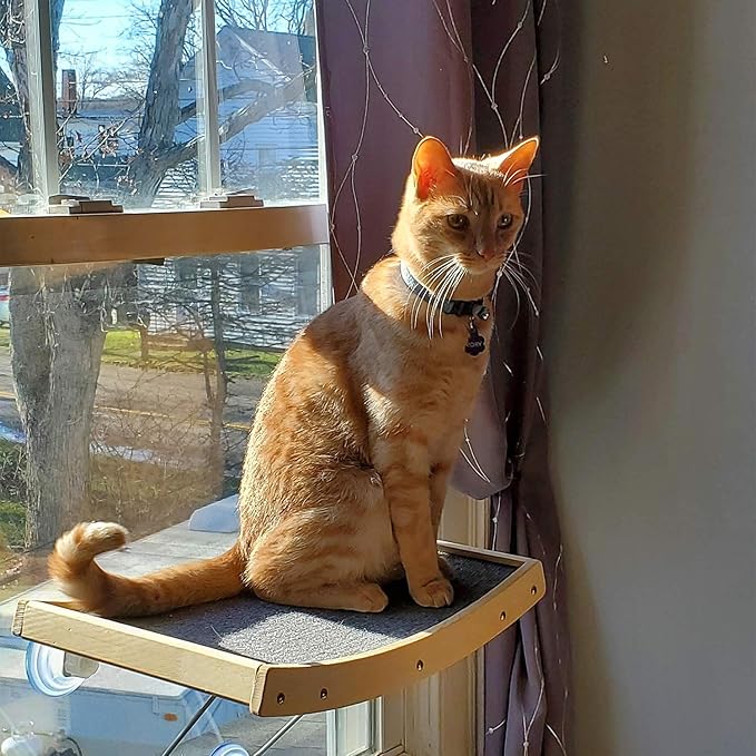 Amazon Catromance猫窓ベッド 猫ベッド 猫ハンモック ペットベッド ウインドウベッド ふわふわ キャットソファー 取り付けタイプ 日光浴 通気 16ｋｇ耐荷重 組み立て簡単 子猫もぴったり 昼寝 吸盤 グレー Catromance ベッド ソファ 通販