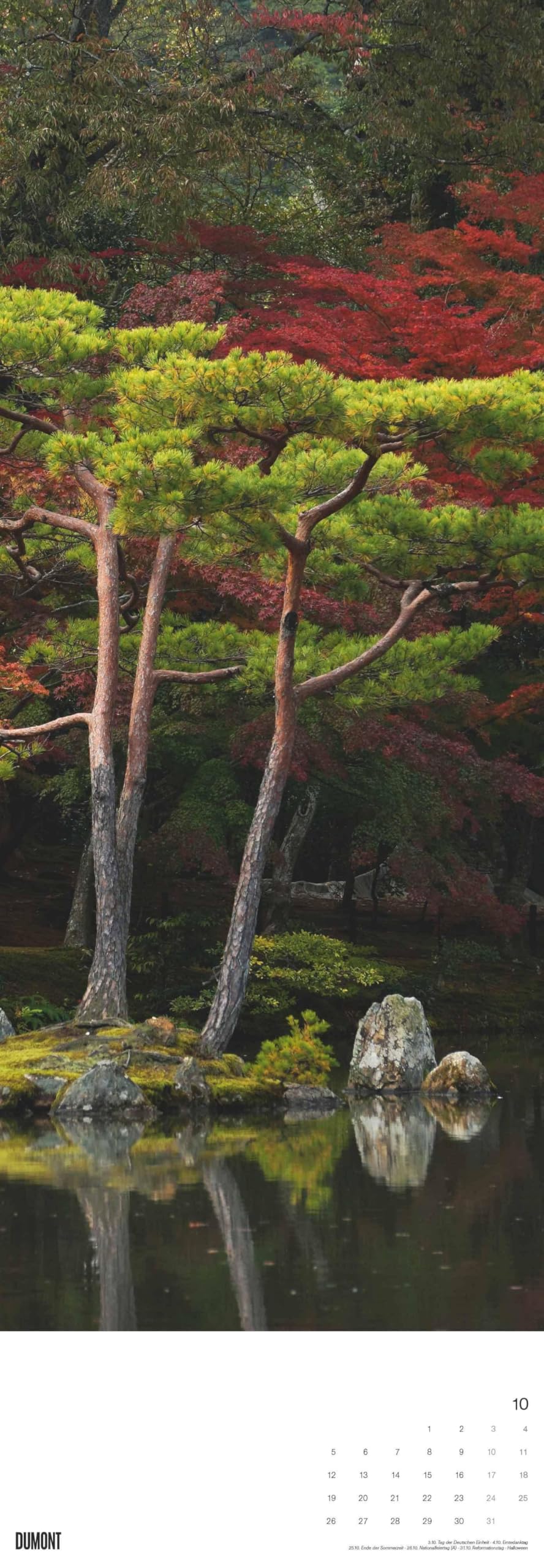 DUMONT - Alberi 2026 – Calendario da parete King-Size 34×98 cm con 12 fotografie di alberi di tutto il mondo, calendario della natura per gli amanti della natura e degli alberi: Trees
