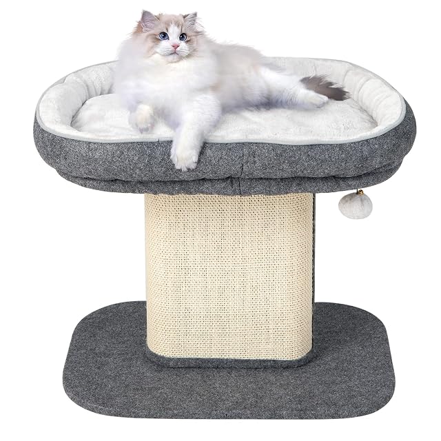 Foto 2 de 8 de GYMAX Árbol Rascador de 50 cm de Alto para Gatos, Árbol de Escalada con Asiento de Felpa Suave