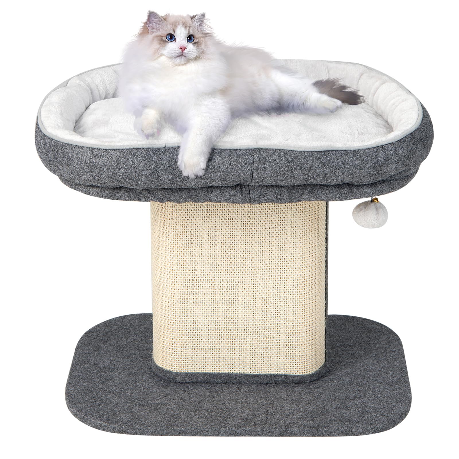 GYMAX Árbol Rascador de 50 cm de Alto para Gatos, Árbol de Escalada con Asiento de Felpa Suave, con Columna de Sisal y Pelota, Árbol de Actividad y Árbol de Juegos, para Pequeño Gato, Gris