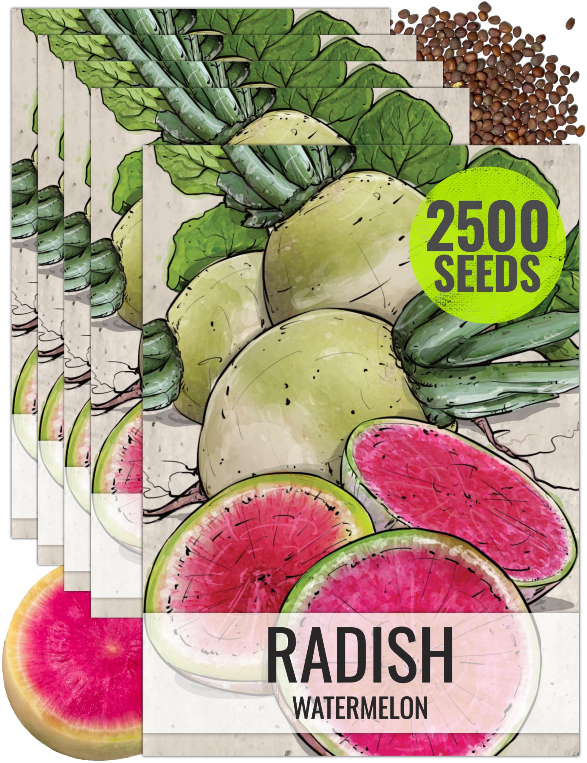 Seed Needs Watermelon Radish Seeds — Heirloom & Non-GMO 5 Packs