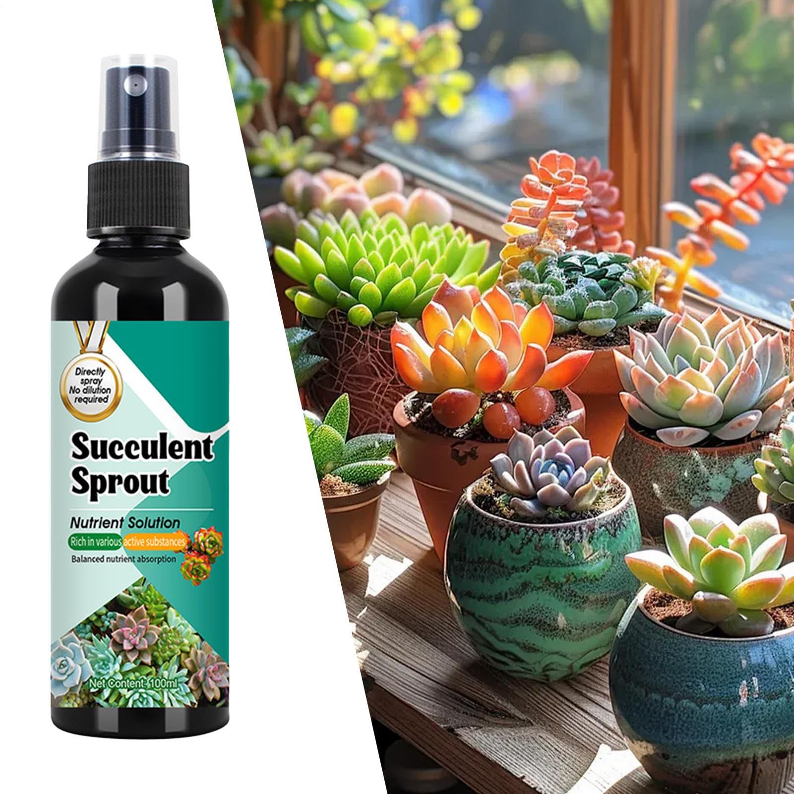 Kakteen Dünger | Luftpflanzen Dünger - 100ml Sprungkraft Booster Langzeit-Spray Für Wachstum & Vermehrung Bei Topfpflanzen Innen & Außen