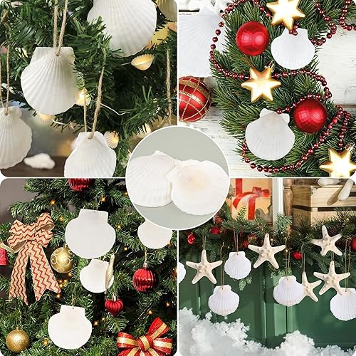 Miniatura 6 de 18 conchas marinas blancas grandes puramente naturales de 4 a 5 pulgadas y conchas medianas de 2 a 3 pulgadas para manualidades, conchas de vieira a