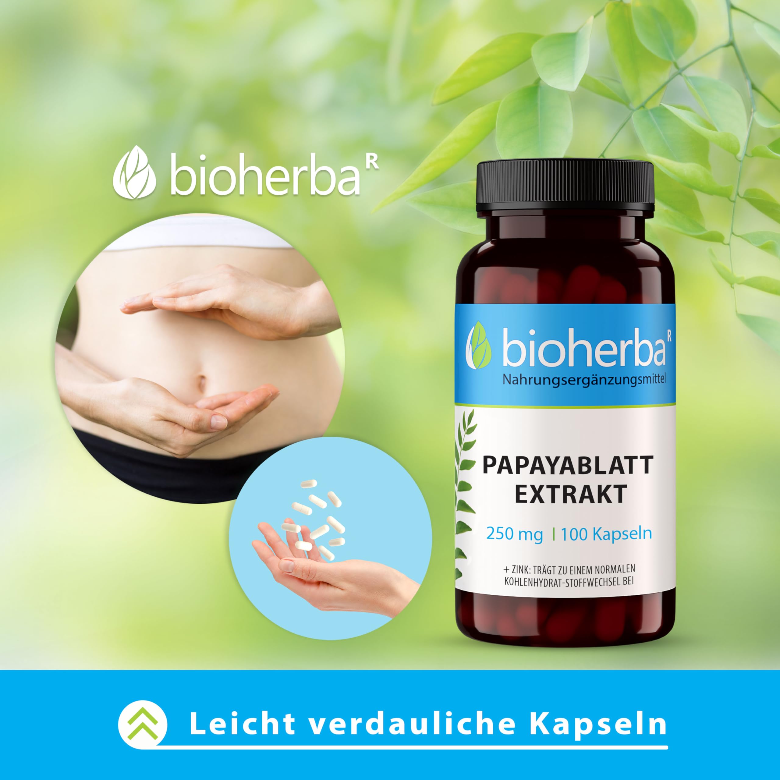 Papaya-Blatt Kapseln, 200 Stück, 250 mg Papaya-Extrakt von BIOHERBA