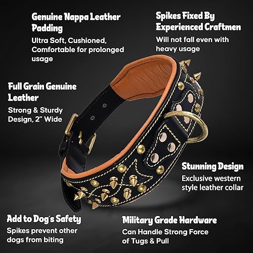 Miniatura 3 de DowgClub Collar de perro con pinchos de cuero genuino, estilo occidental, grano completo, resistente, acolchado, cómodo, fuerte, mejor para razas
