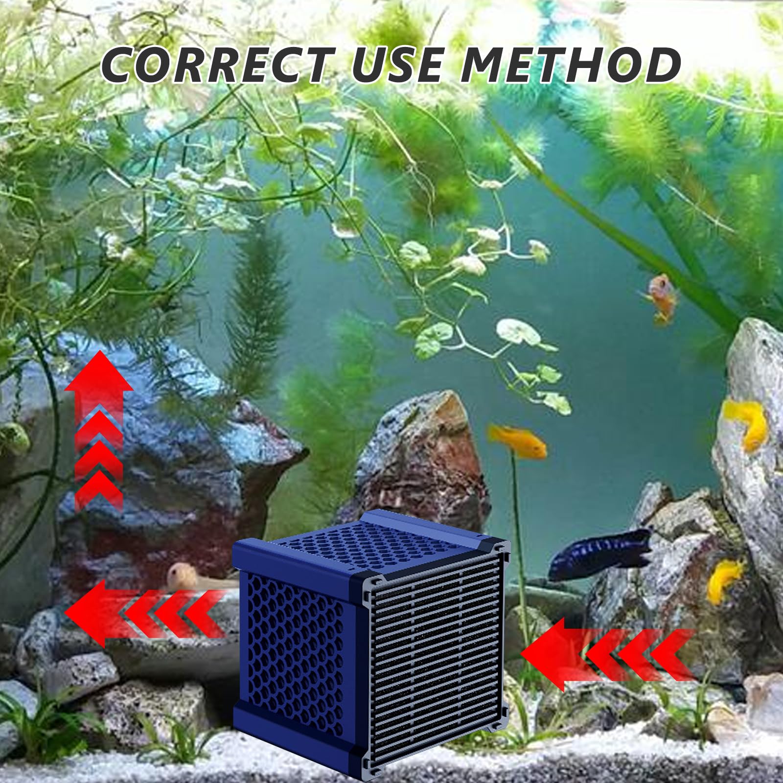 MLordoarf Cubes Filtrants à Charbon Actif Pour Abreuvoirs à Chevaux