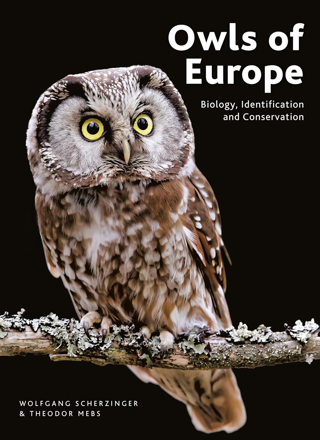 Owls of Europe: Biology, Identification and Conservation      Kindle Edition