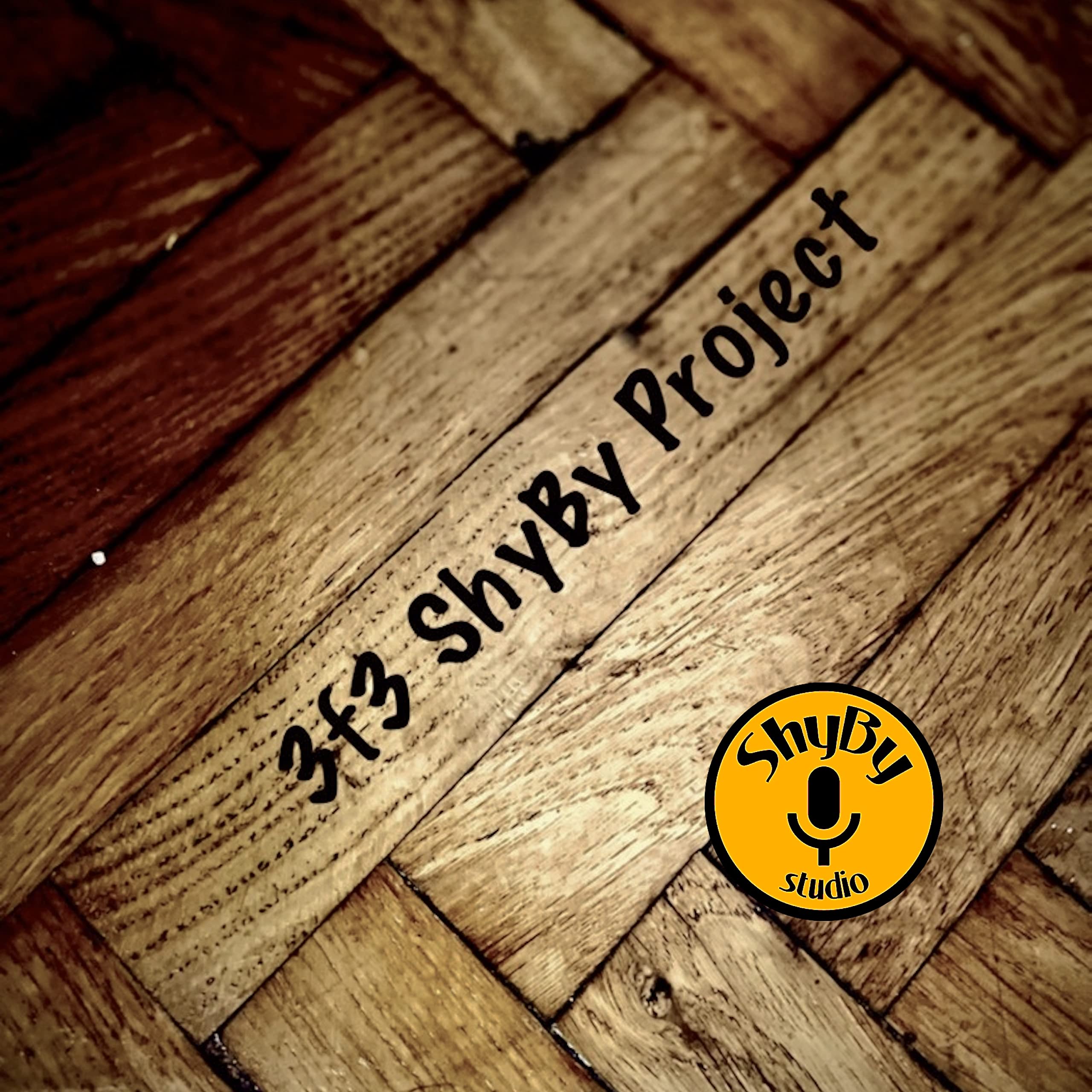 3f3 ShyBy Project