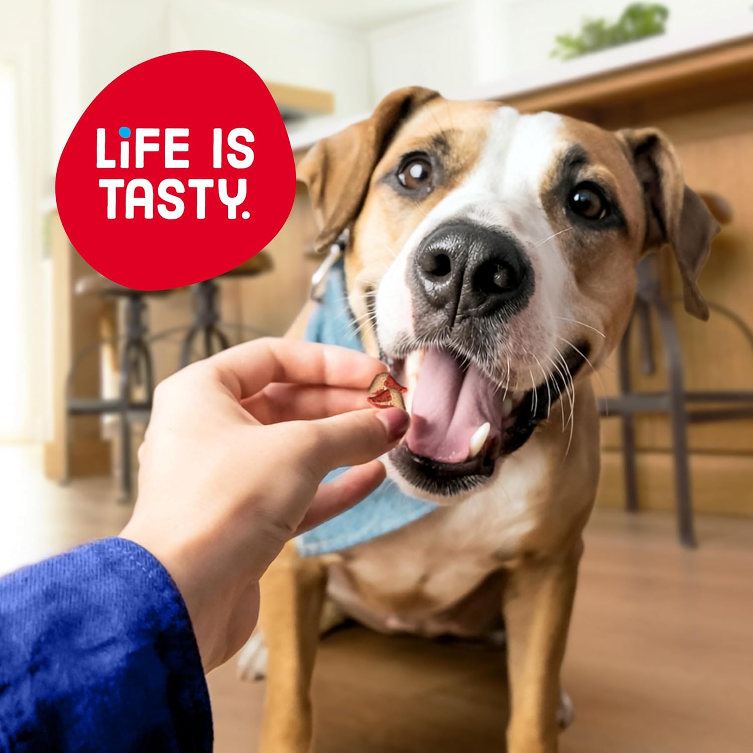 Kibbles n’ Bits Just The Bits Chewy Dog Treats, Steak Flavor, Dog Snacks, 4.5 oz Bags (Pack of 8)
