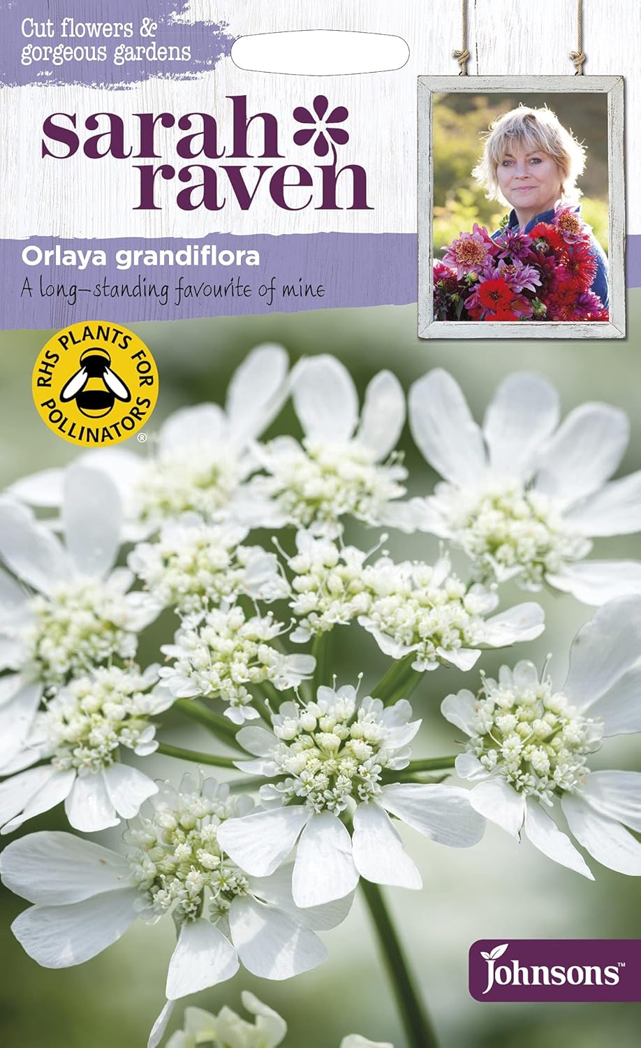 Amazon.co.jp 【種子】Johnsons Seeds Sarah Raven Cut flowers &