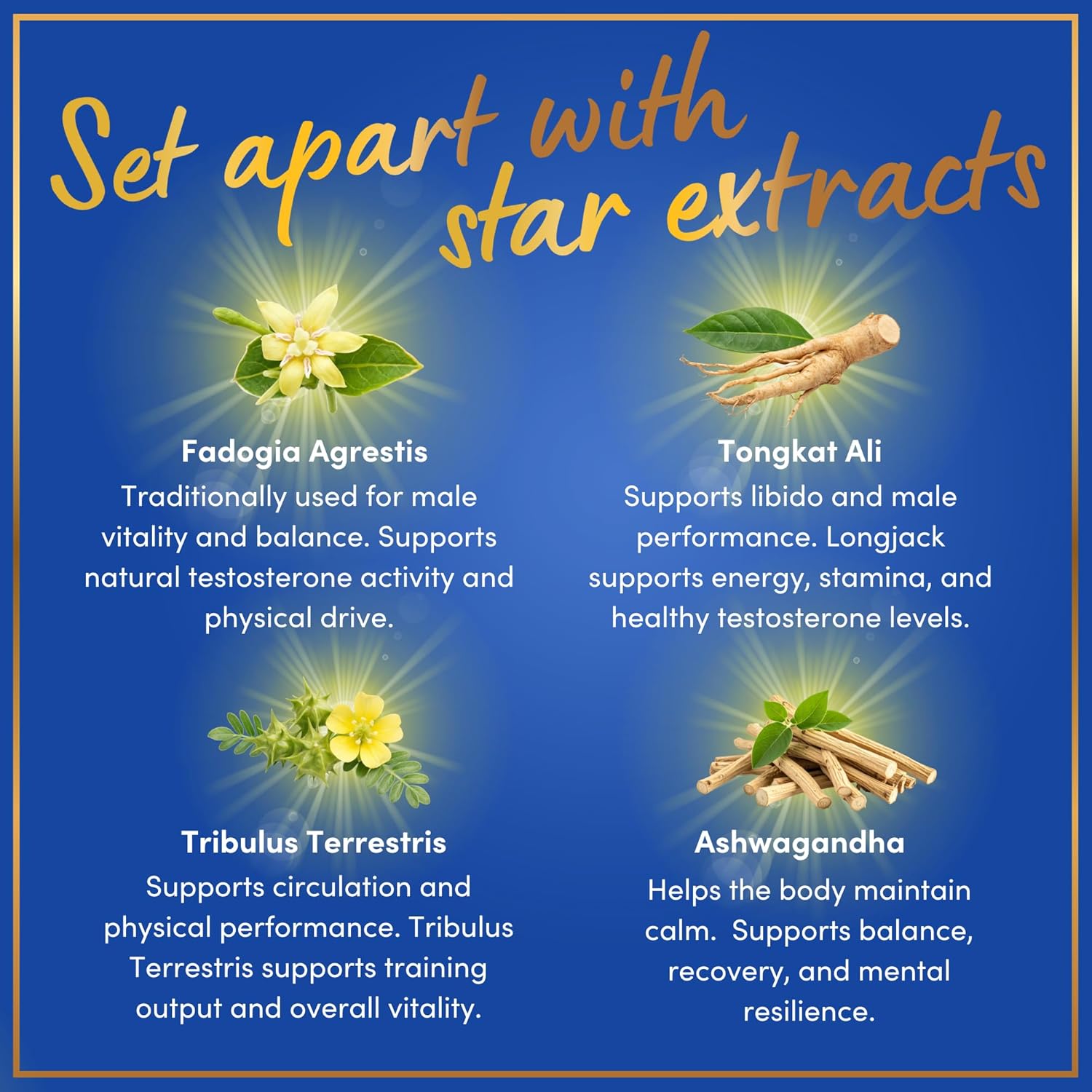 Fadogia Agrestis and Tongkat Ali Supplement - Fadogia Agrestis 600mg, 500mg Longjack Tongkat Ali for Men, Maca Root, Fenugreek, Ashwagandha, Saw Palmetto to Support Energy, Stamina, Vitality - 120Caps