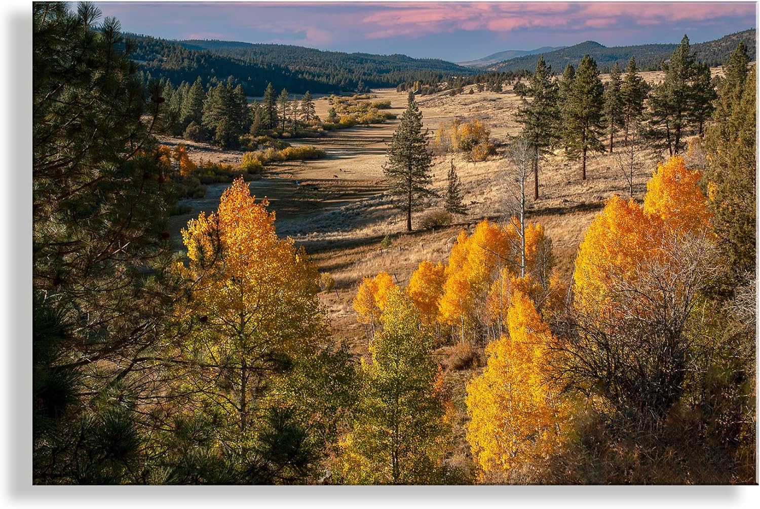 Western Ranch Landscape Photograph with Fall Colors and Aspen Trees as Wall Decor for Home