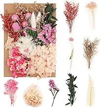 Tomoyuki Natural Dried Flowers, Natural Pressed Flowers for Resin, Decorative Dried Flowers for Flowers Gift Collection Candles Scrapbook Crafts Case Decoration (Bag)