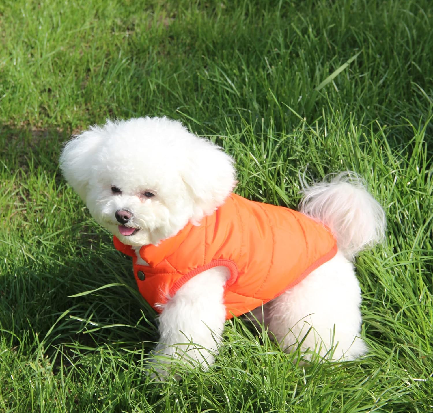 JoyDaog 2 Layers Fleece Lined Warm Dog Jacket for Puppy Winter Cold Weather,Soft Windproof Small Dog Coat,Green XS