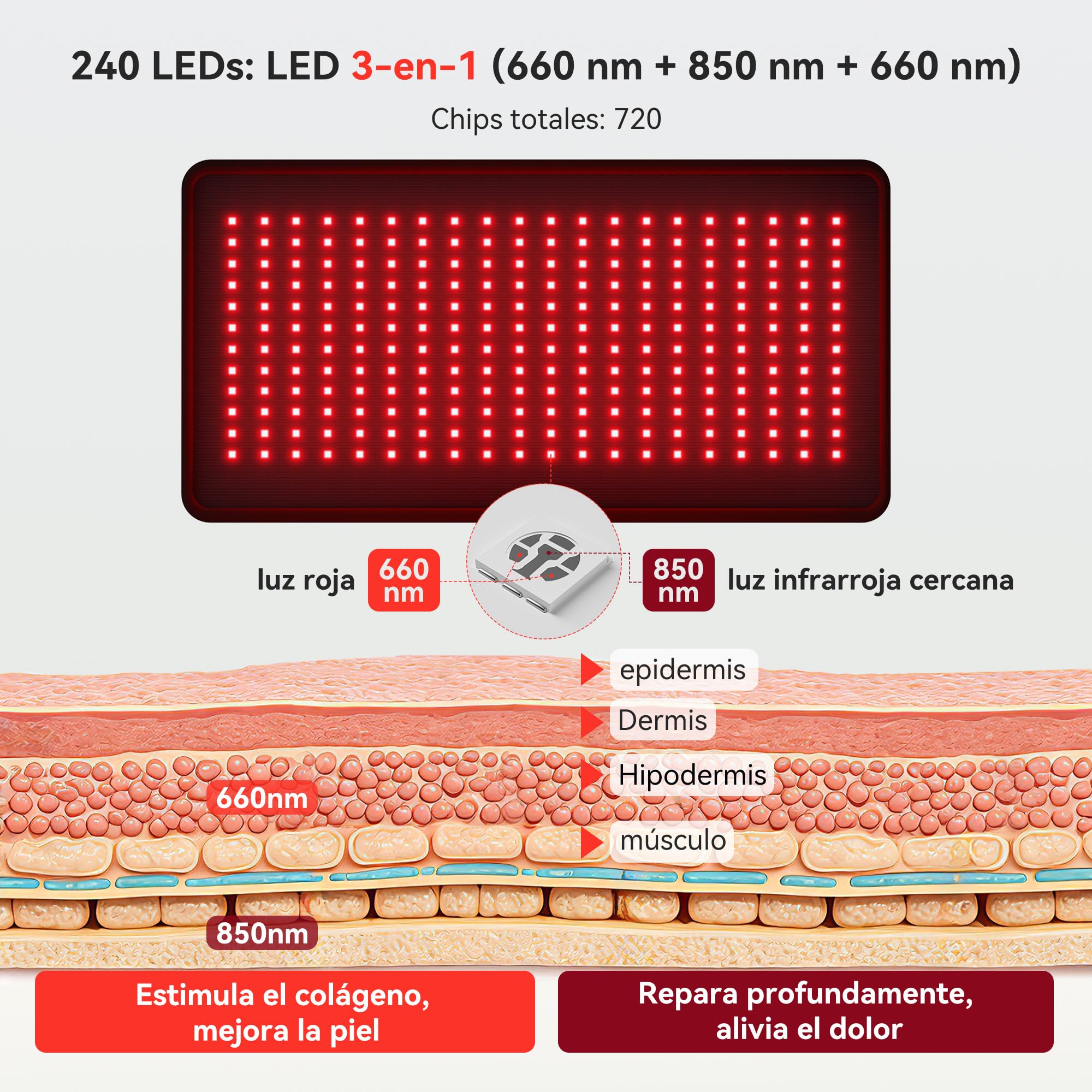 STASUN Red Light Therapy Belt for Body, 240 LEDs 660 y 850nm Dual Wavelength Near Infrared Red Light Pad for Daily Skincare (24" x 12")