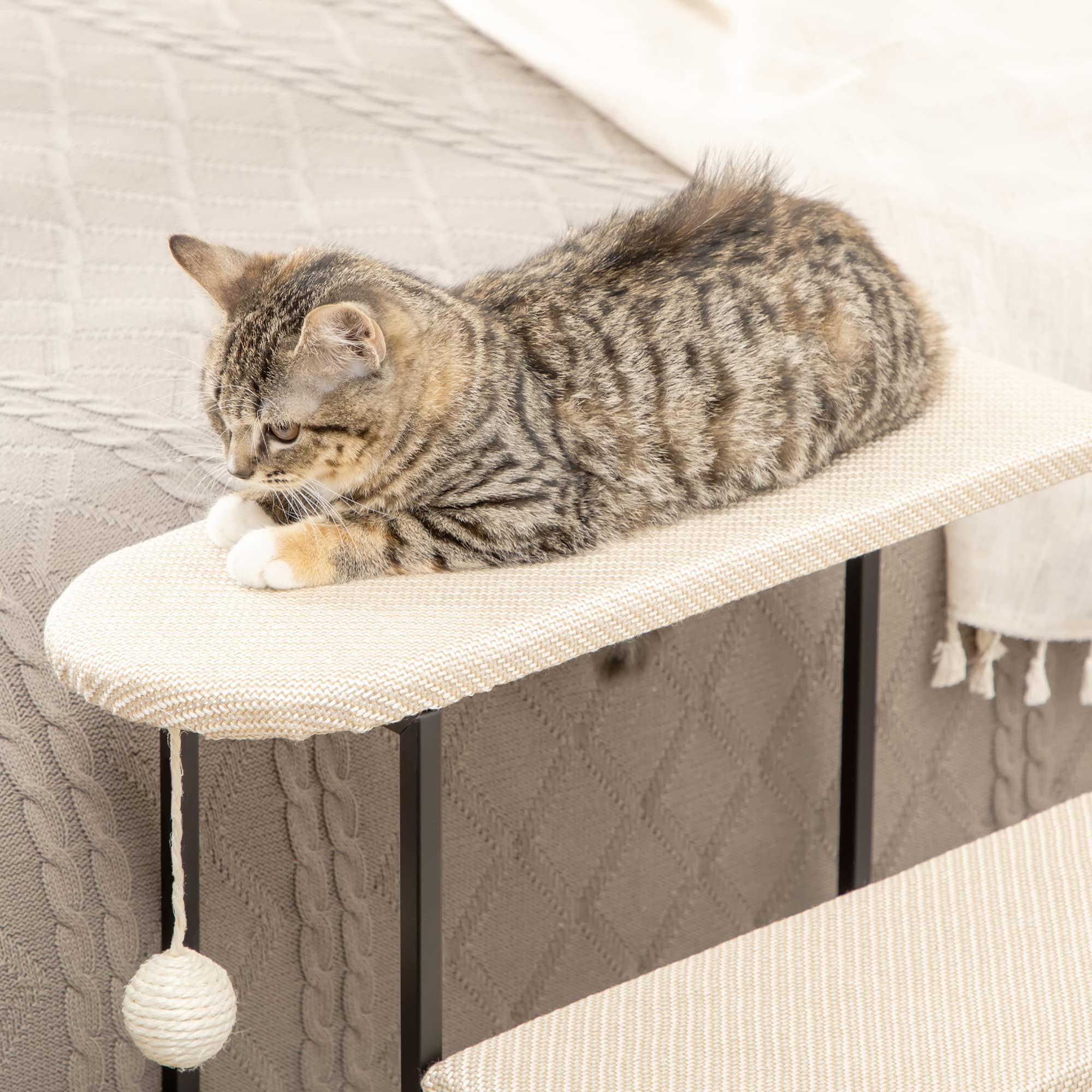 PawHut Hundetreppe 3 Stufen 53 cm Hoch Haustiertreppe für Katzen bis zu 6 kg Katzentreppe Hunderampe Einstiegshilfe für Bett, Sofa, Couch und Auto Cremeweiß+Schwarz