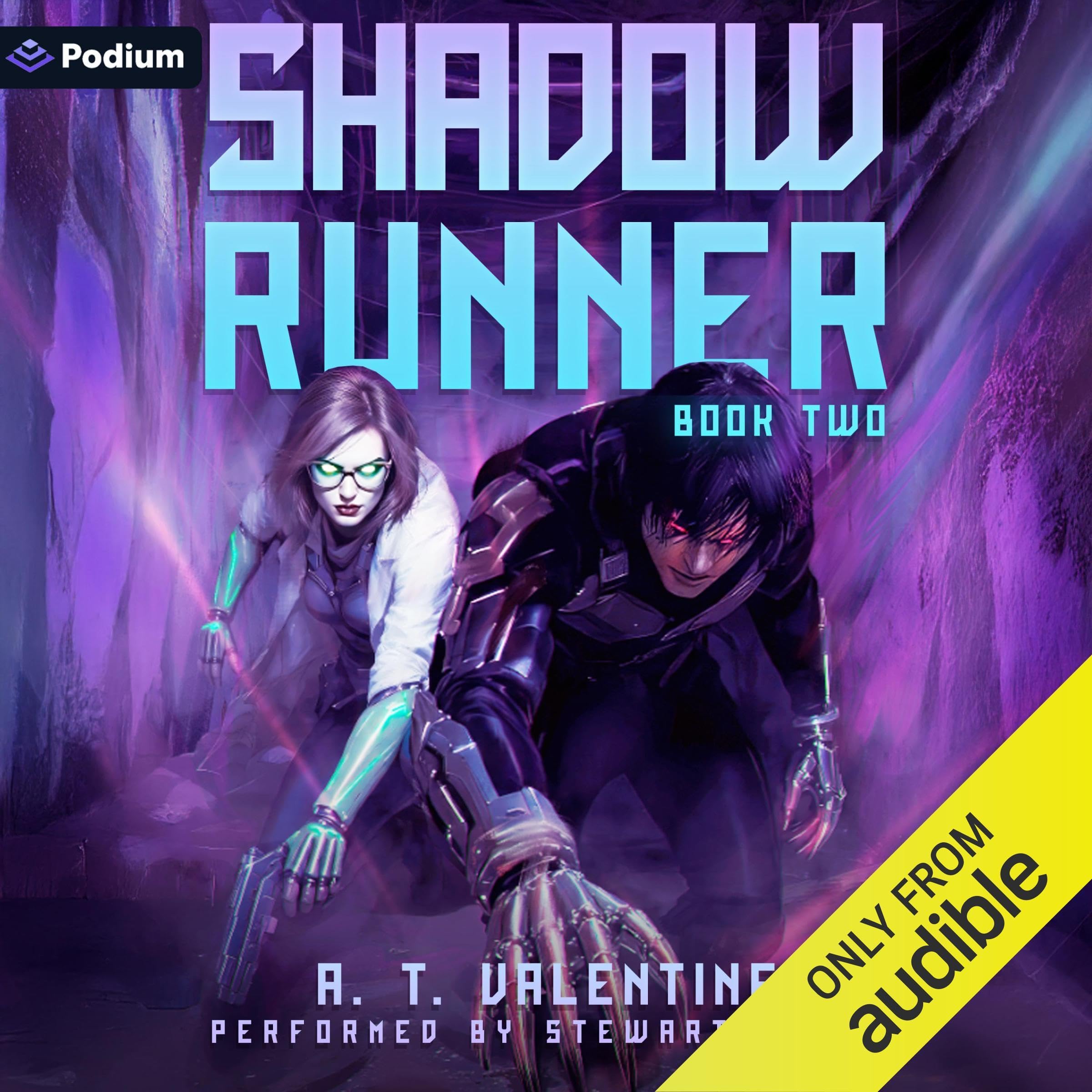 Cover art for Shadow Runner 2