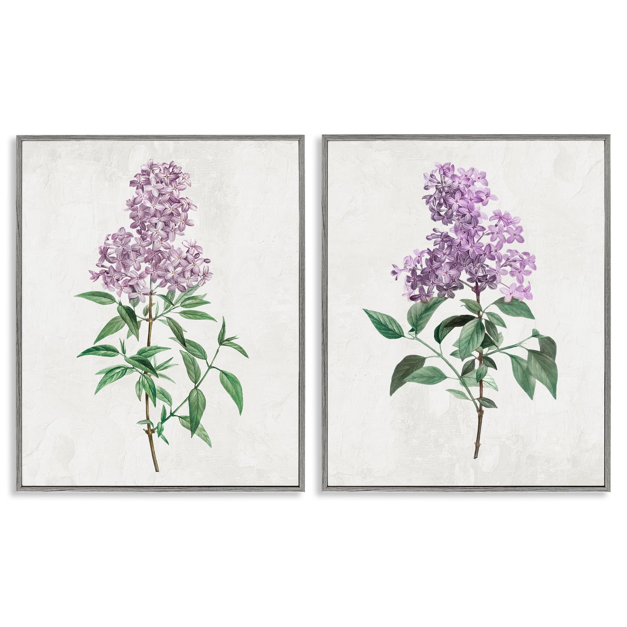 Herbaceous Lilac Blooms Floral, 24 x 30 Inch Framed Giclée Print Set