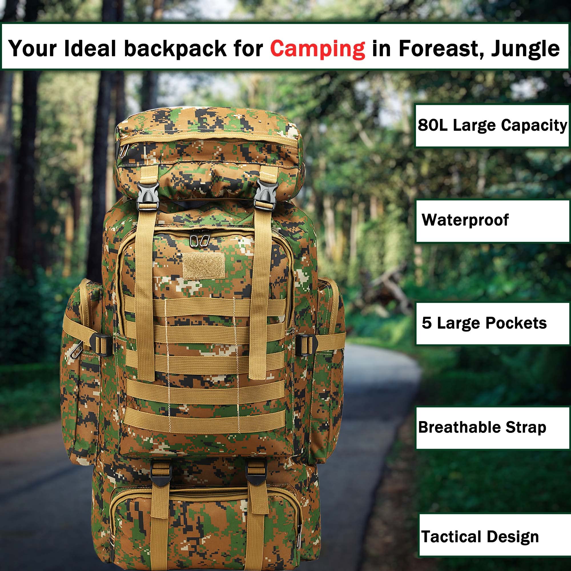 View 4