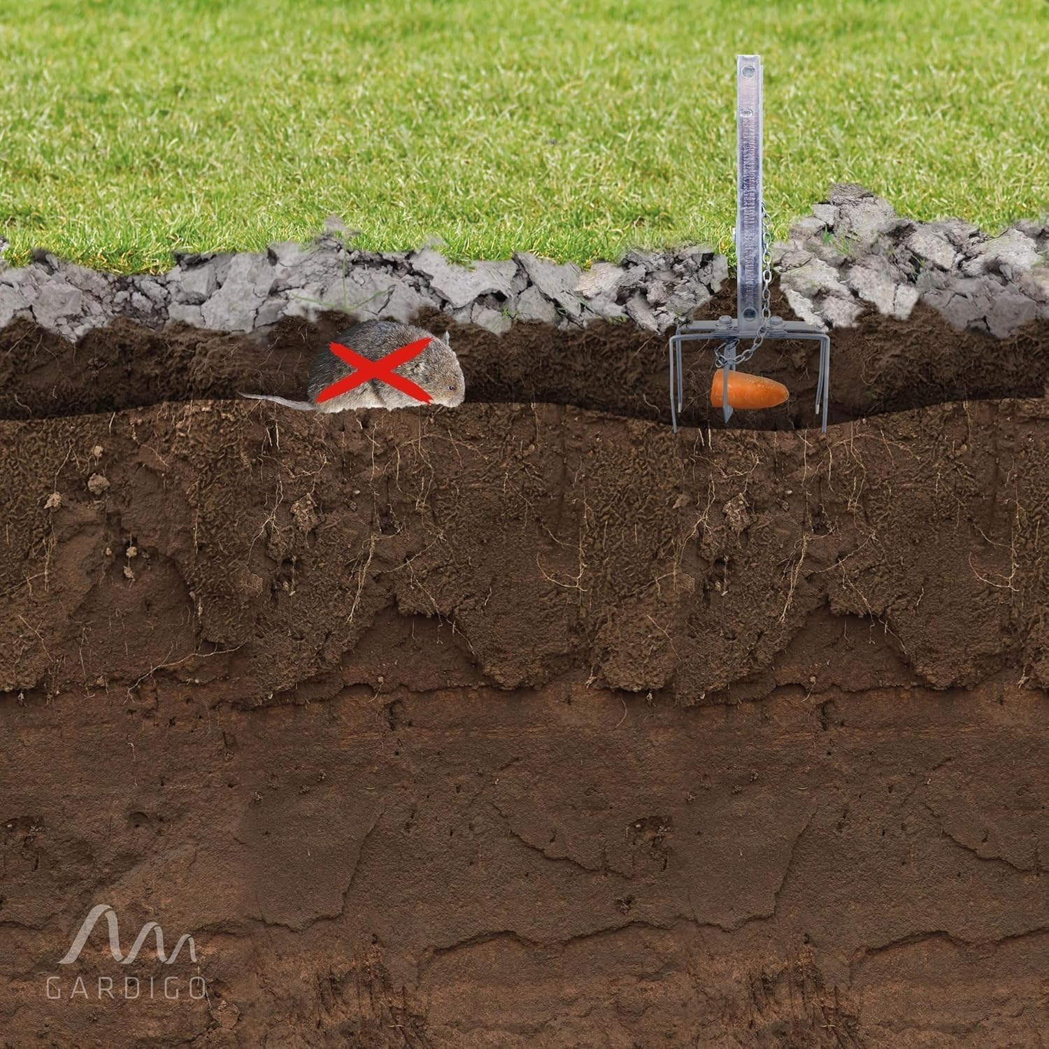 Gardigo® 4 Trampas para Topos | Ahuyentador de Topos | Trampa Topillos, Campañoles o Ratas de Jardin y Animales de Madriguera | Anti Topo Ultra-Eficaz con Altas Tasas de Captura, Fácil de Usar