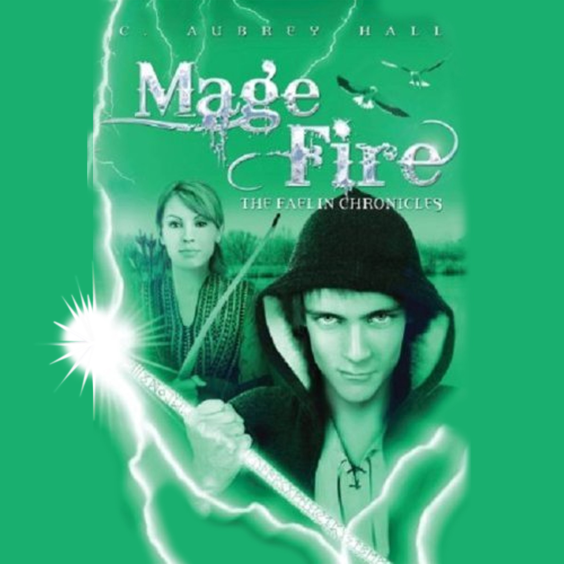 Cover art for Mage Fire