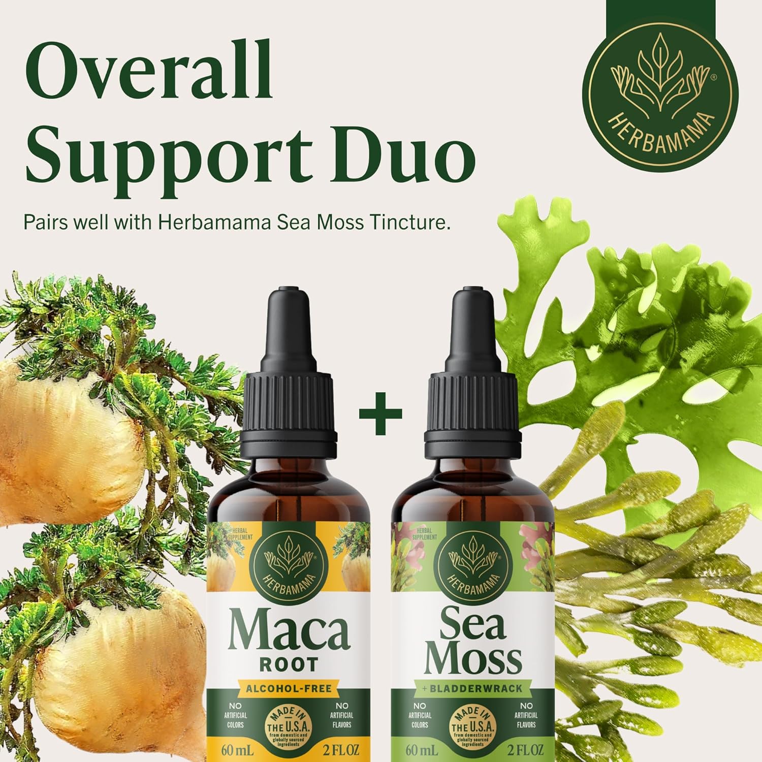 HERBAMAMA Maca Root Liquid Drops - Vegan Maca Root Extract for Women & Men Support - Non-GMO, Alcohol & Sugar-Free Liquid Supplement Tincture, 28-Day Supply - Image 7