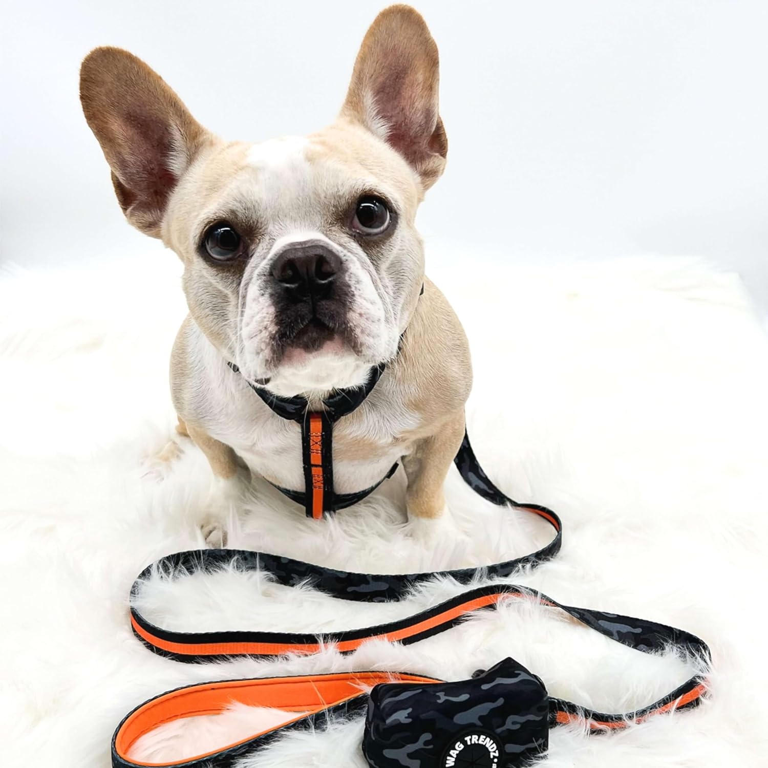 WAG TRENDZ 4 Foot Leash | Orange Dog Leash | Safer Than Retractable Dog Leashes | Padded Handle | Adjustable Length 3 ft to 5 ft | Camo Orange | M
