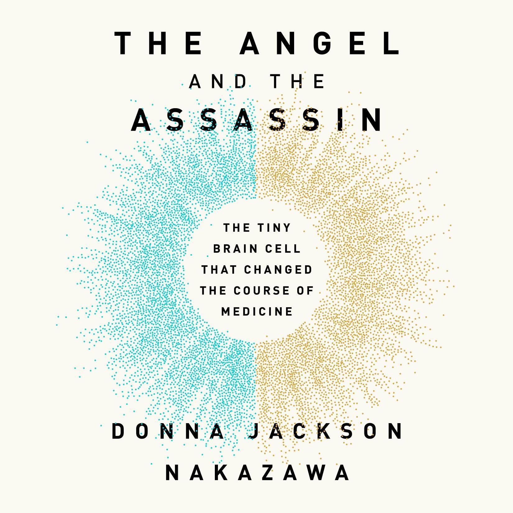 Cover art for The Angel and the Assassin