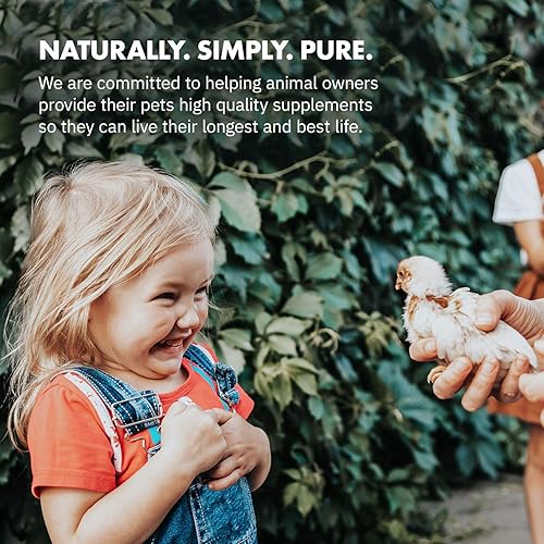 Miniatura 5 de HealthyGut Probióticos para pollos y aves de corral, suplemento dietético totalmente natural para el sistema digestivo (30 cucharadas)