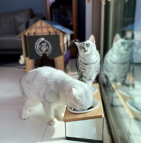 Miniatura 5 de Sunhoo Cuencos elevados de cerámica para gatos, platos elevados para cachorros para alimentos y agua, soporte de madera inclinado para gatos de