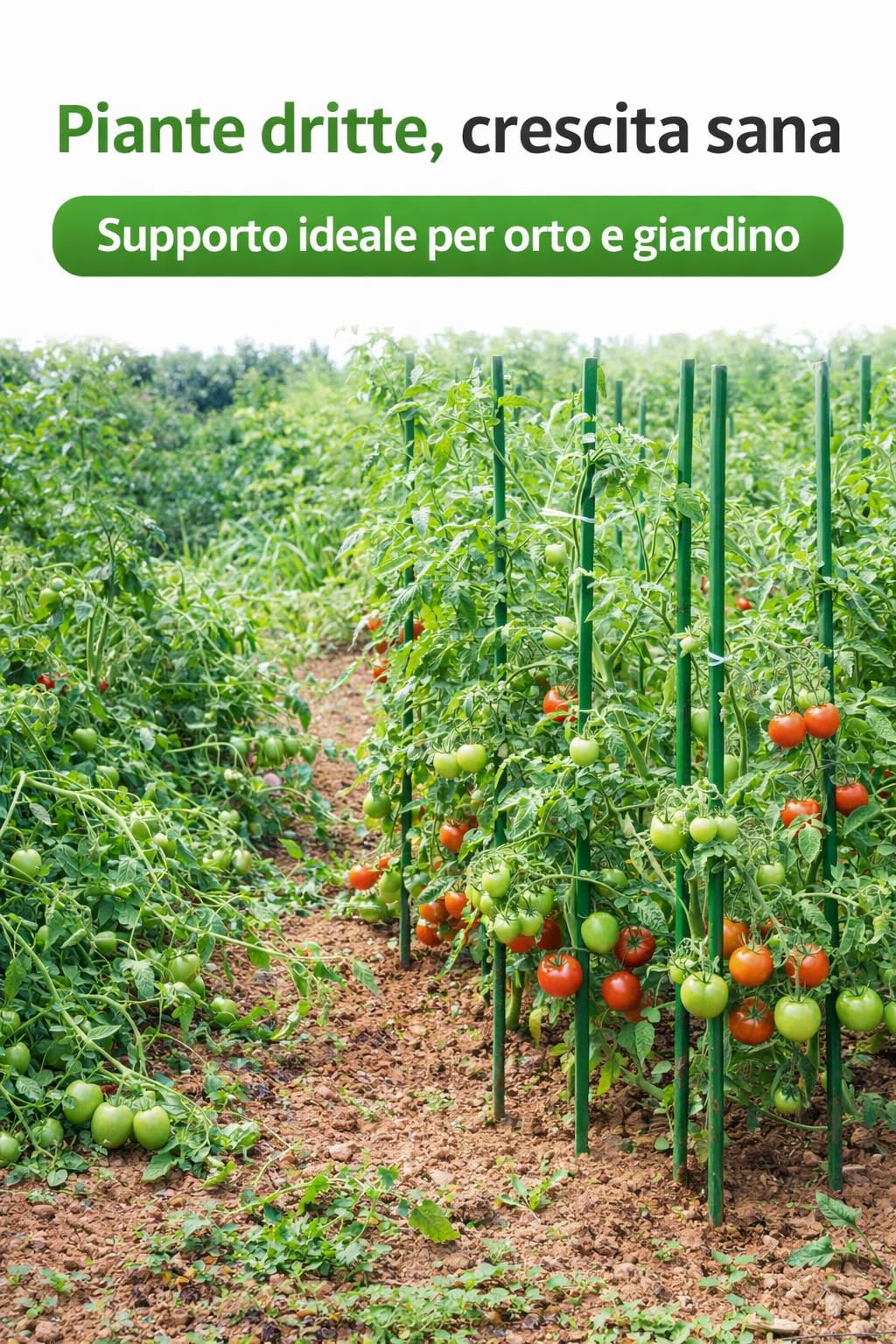 Tutori per Piante in Acciaio Plastificato – Resistenti Anti-Ruggine, Bastoni per Pomodori, Orto e Piante da Interno/Esterno - Sostegno Robusto per Crescita Sana (10 Pezzi, 120 cm, Diametro 11 mm)