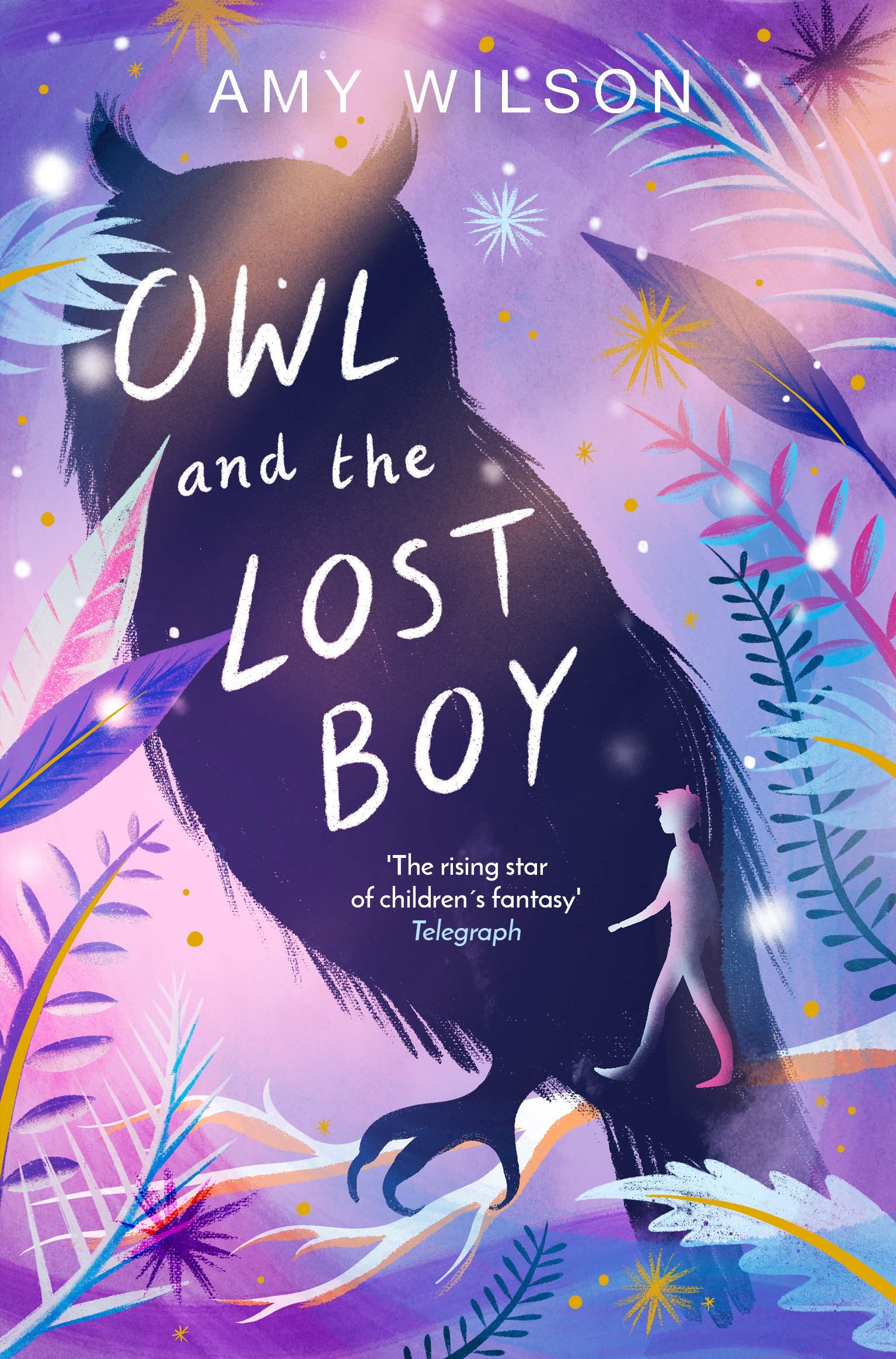 Owl and the Lost Boy by Amy Wilson - 9781529037845