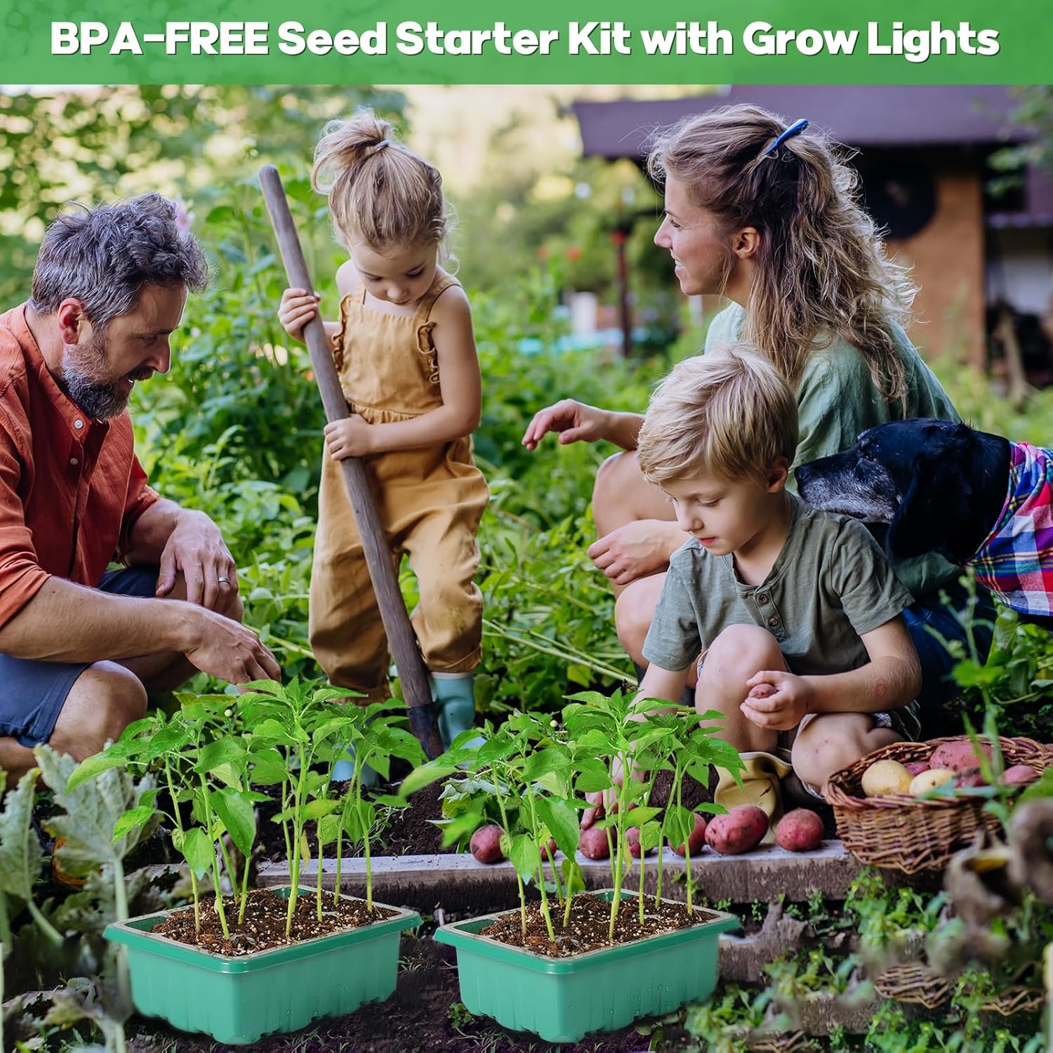 Seed Starter Trays with Grow Lights, 72 Cells Seed Starter Kit with Lights, 3 Lighting Mode, 4 Timing Set, Germination Kit for Seed Starting Trays, Seedling Starter with High Humidity Control Domes - Image 7