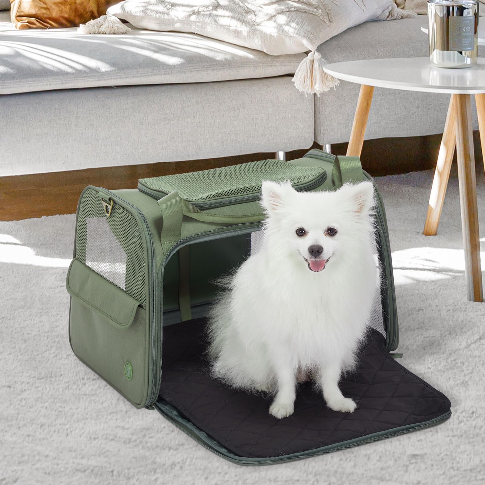 Petsfit Transportín Perro Gato Plegable Transportin Gato Mochila Mediano Grande Bolso Perro Pequeño Transpirable con Tirantes Ajustables y Acolchado Suave Coche y Tren, L/Verde