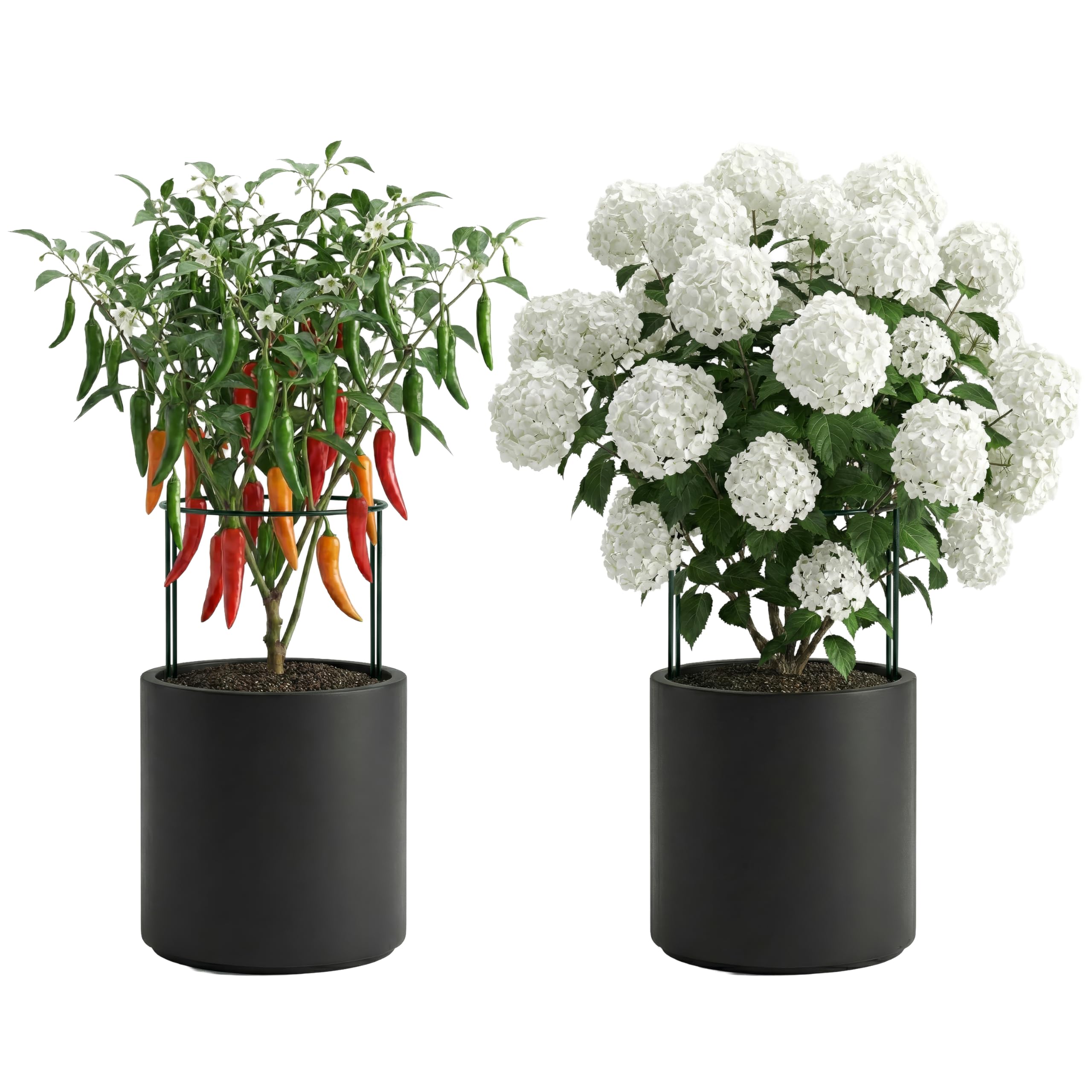Sillar 10 Tuteurs pour Plantes Semi-Circulaires 25 x 40 cm, Support Plante Jardin en Fer Revêtu, pour Pivoine, Hortensia, Rosier, Tomates, Fleurs, Plantes Grimpantes, Protection Vent