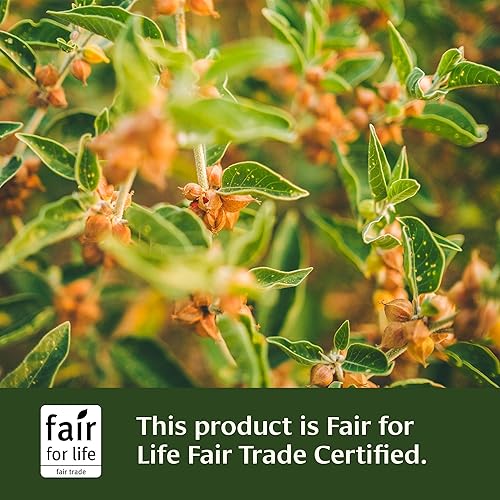 Miniatura 7 de Banyan Botanicals Ashwagandha Latte - Mezcla de café con leche orgánico sin cafeína - Bebida adaptógena a base de hierbas instantáneas para energía,