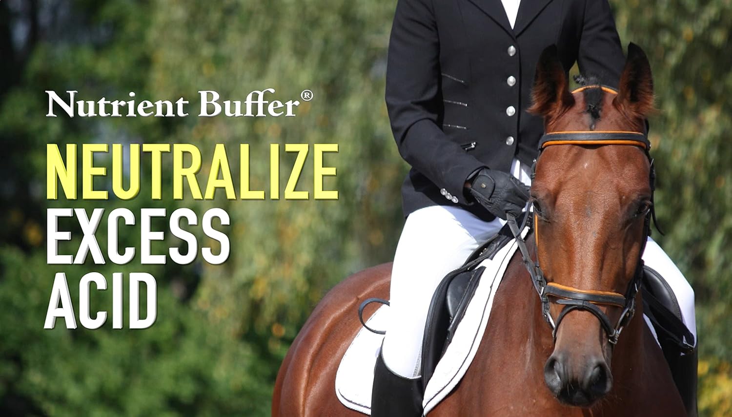 Nutrient Buffer (1 Gallon) Ulcer & Acid Relief, Digestive Aid, Upper Gastric Support, Colic Remedy : Pet Supplies