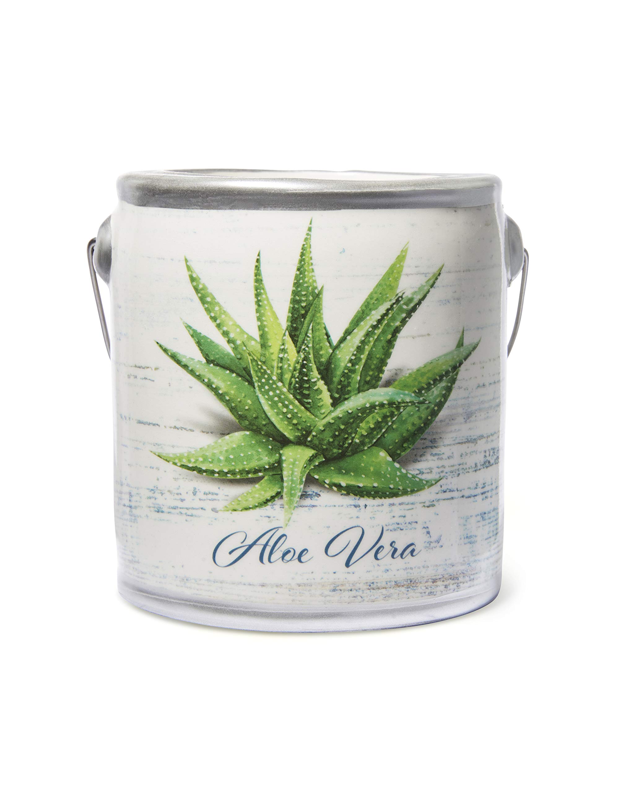 A Cheerful GiverSage & Citrus - 20oz Large Scented Candle Jar - Farm Fresh - 95 Hours of Burn Time, Gift for Women, Green