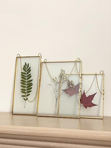Miniatura 9 de Marco doble de vidrio para flores prensadas, hojas y obras de arte, juego de 2 marcos de fotos colgantes, marcos de flores flotantes de vidrio
