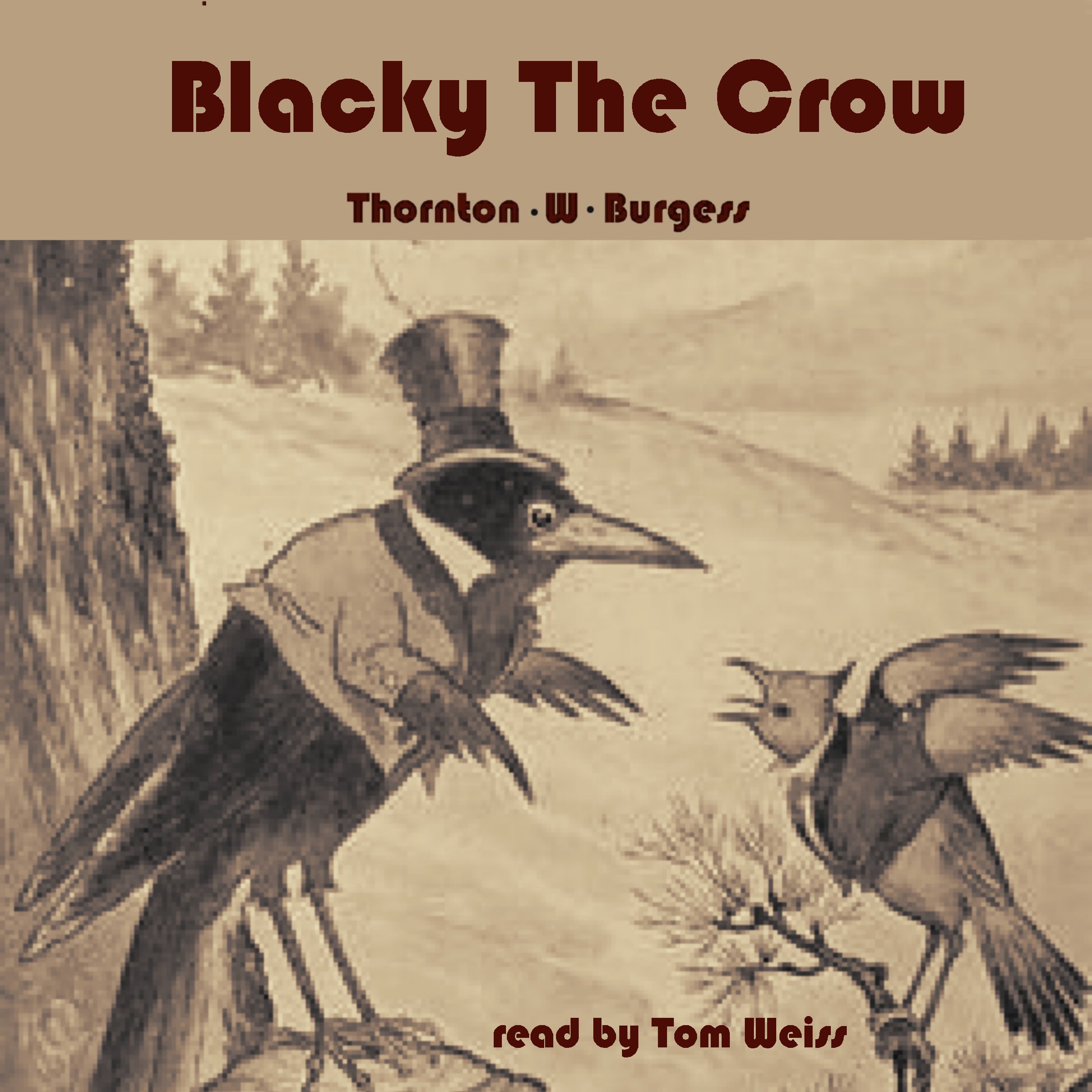 Blacky the Crow