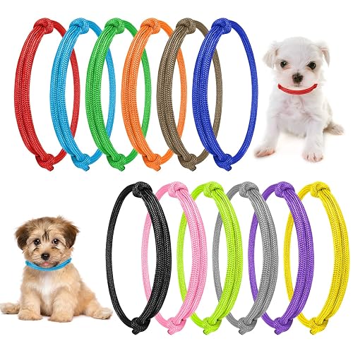 Yorgewd - Collar de gatito ajustable (12 unidades)
