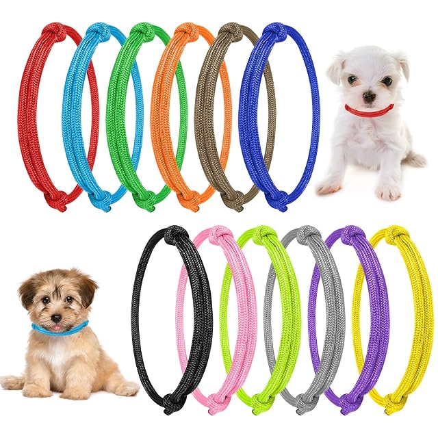 Yorgewd - Collar de gatito ajustable (12 unidades)