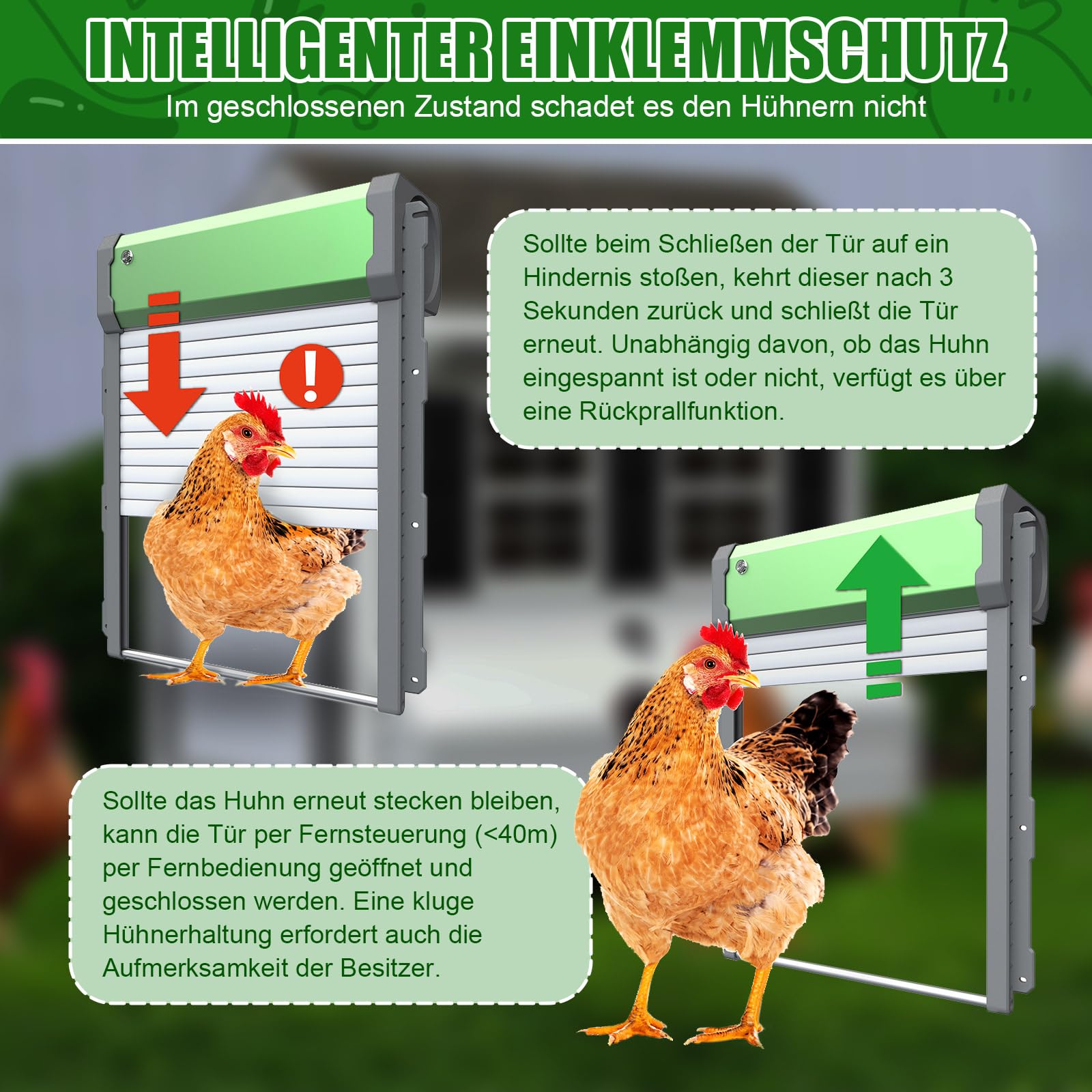 MaxAwe Automatische Hühnerklappe Solar, Aluminum Hühnerstalltür Automatisch, Lichtsensor, Timer, Intelligenter Einklemmschutz Elektrische Hühnerklappe, Hühnertür mit Fernbedienung