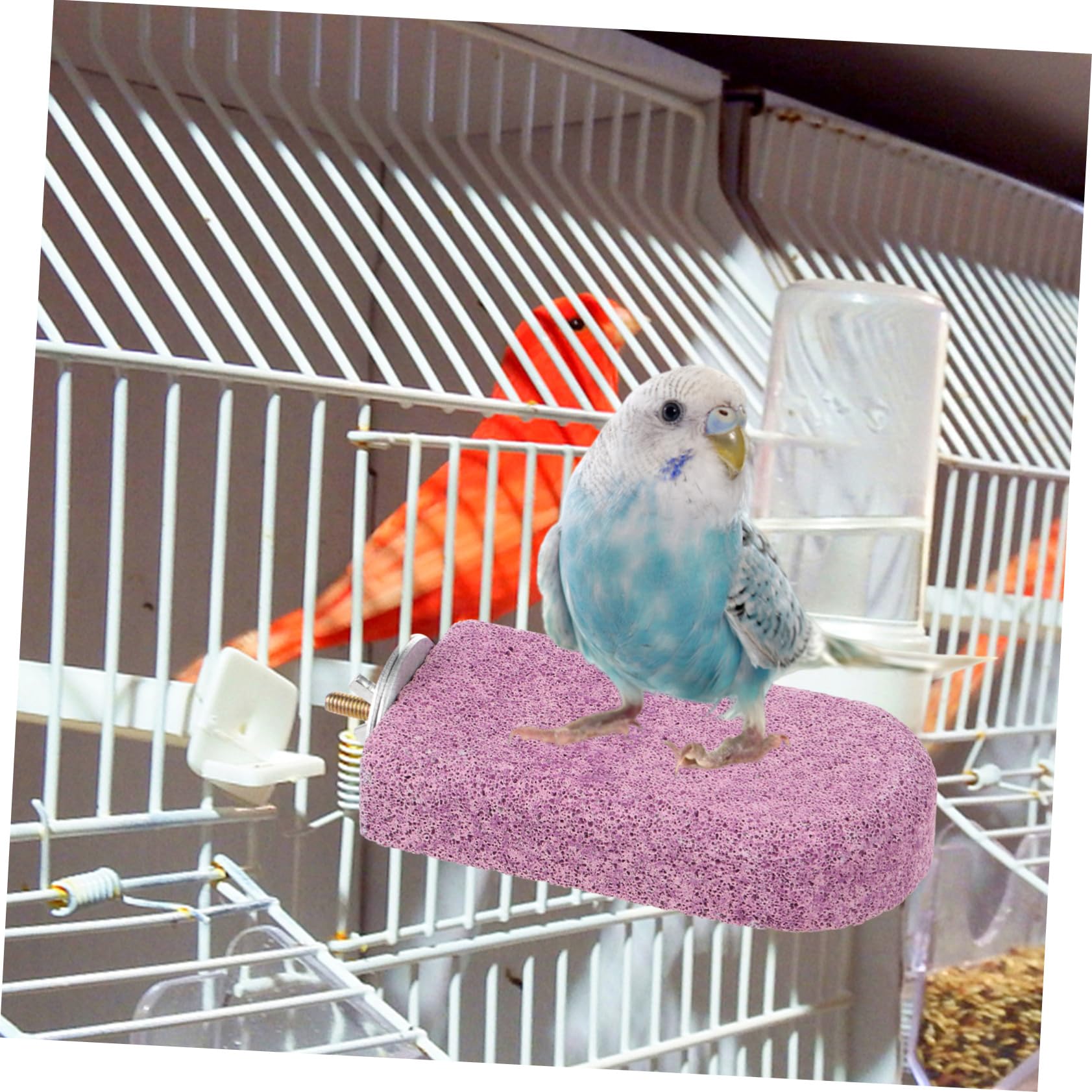 YARNOW 5piezas Percha para Aves Piedra De Calcio para Masticar Soporte para Periquitos y Estable y De Instalar Juguete para Mascotas